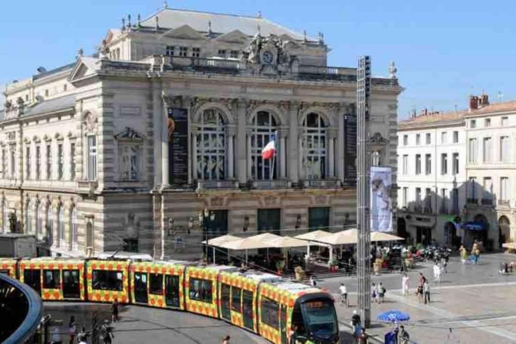 Superbe T2+Parking,Proche Centre Ville & Plages Leilighet Montpellier Eksteriør bilde